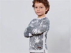 En Fant